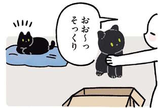 うちの猫にそっくりなぬいぐるみを作ってもらった。見に来たと思ったら...かわいい！／黒猫ろんと暮らしたら5