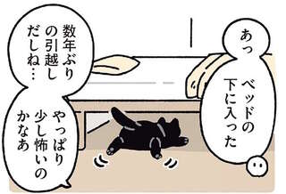新しい家を探検する猫。怯えるかと思ったら...え？／黒猫ろんと暮らしたら5