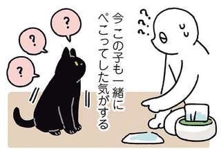 お辞儀をすると猫もぺこっ!? 自撮りカメラで確認したら...え？／黒猫ろんと暮らしたら5