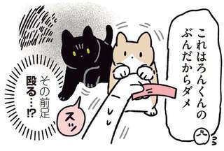 おやつタイムに新入り子猫が乱入！ 黒猫が前足を上げたので殴る？と思ったら／黒猫ろんと暮らしたら6
