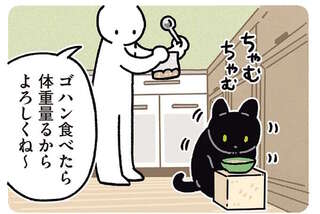 「完全に言葉が通じる」うちの猫。流れるように自ら...／黒猫ろんと暮らしたら7