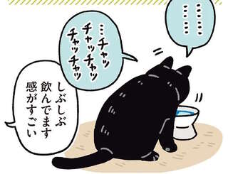 うちの猫は賢いねぇ。「水を飲め～」と言いまくられた猫のしぶしぶ感／黒猫ろんと暮らしたら7