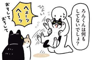 猫の世界の「理不尽」。挨拶のほっぺツンでとばっちりを...／黒猫ろんと暮らしたら7