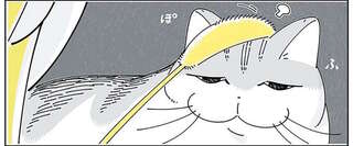 『夜は猫といっしょ』4～6