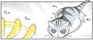 飛びつく？ 飛びつかない？ 猫と飼い主の攻防。ドキドキしているのは...／夜は猫といっしょ4