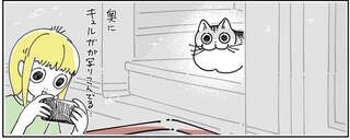 何かを撮影してると写り込んでくる猫。じゃあ、と飼い主が猫を撮ろうとすると...／夜は猫といっしょ4