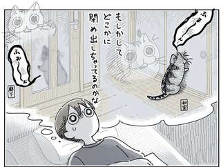 夜中、遠くで鳴き続ける猫。心配になって見に行ったら...んん？／夜は猫といっしょ4