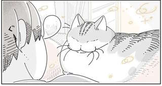 起きなきゃ！と思ったら横にうとうと眠る猫が。その姿を見ていたら...／夜は猫といっしょ4