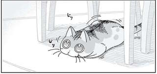 猫のこの顔は...足に飛びついてくることを予感した飼い主。ビュッと来たその瞬間に!?／夜は猫といっしょ5