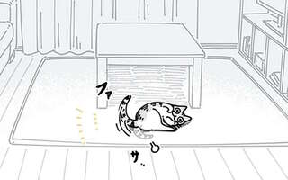 しっぽで返事する猫。でも呼ぶ人によって対応が違って...え？／夜は猫といっしょ5