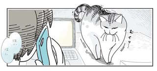 うちの猫は電話が気に入らない？ 通話が始まるとこんな嫌がらせを...／夜は猫といっしょ5