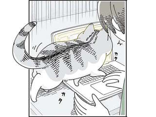 ショートカットキー押した？ 愛猫はキーボードの上を歩きながらPC操作／夜は猫といっしょ5