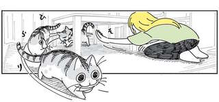 愛猫を捕まえたいのに捕まえられない！ 「興味失った作戦」をとってみたら...／夜は猫といっしょ5
