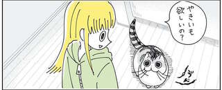 あんたって子は。愛猫が焼いもを欲しがったので分けてあげたら...／夜は猫といっしょ6