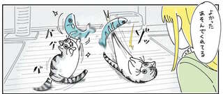 え、もう飽きたの!? 猫に新しいオモチャをあげたら大興奮！からの...？／夜は猫といっしょ6