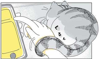 スマホ操作中、右手に猫のしっぽがくるん！ 不便だけど振りほどきたくない／夜は猫といっしょ6