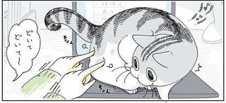 意外としつこい...!? PCの上にいる愛猫のどかし方／夜は猫といっしょ6