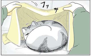 うちの猫は布団を「かけられる」のがイヤ。抜け出してしばらくすると...え？／夜は猫といっしょ6