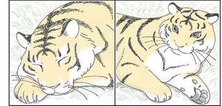 猫と一緒に動物番組を視聴。トラはもちろん、アザラシ、ミミズク...似てるよね!?／夜は猫といっしょ6