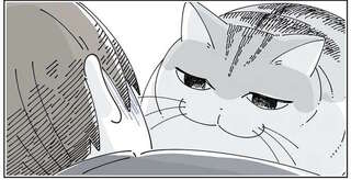 普段はマイペースな猫が察した？ 体調不良の飼い主にずっと...／夜は猫といっしょ6