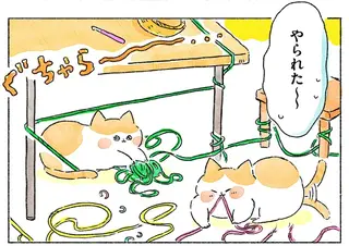 毛糸をネコたちから守るために。編み物道具を収納するグッズ選びも楽しい！／かぎ針編みはじめました