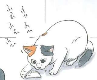 「猫のいる食卓」はこうなる？ なんなの君ら...／拾い猫のモチャ5