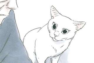 猫って優しい。涙する飼い主の隣にそっと寄り添ってきて／拾い猫のモチャ5