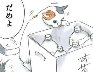 猫はスペースを見逃さない！ 狭すぎる場所に潜りこむ猫を止めたのに!?／拾い猫のモチャ5