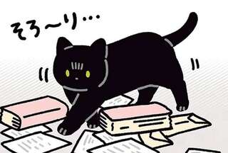 「空気が読める」うちの猫。ヘトヘトになった飼い主にそっと近づいて...／黒猫ろんと暮らしたら4