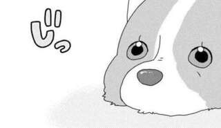 愛犬コーギーが遠くから飼い主を「監視」。呼んでも近づかないけど...なんでここは？／あしょんでよッ5