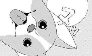 愛犬コーギーとの朝。たまにはのんびりしたいけど...／あしょんでよッ6