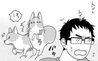 飼い主から離れたくないワンコのかわいい行動。ちょっと動くたびに...／あしょんでよッ6