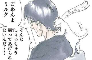 保護された子猫は父が大好き。構ってほしくてこんなことも...たまらない！／拾い猫のモチャ3