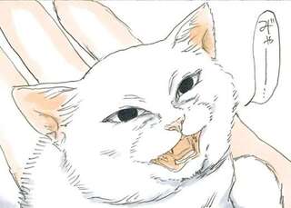 母猫とはぐれ、保護された子猫。忘れられない感動のシーンは／拾い猫のモチャ2