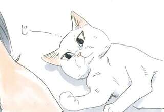 保護された子猫も今では...。飼い主をメロメロにさせる仕草は／拾い猫のモチャ2