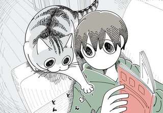 飼い主が気付いた「猫の心の動き」。お腹に乗ろうとしたはずなんだけど...／夜は猫といっしょ5