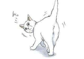 保護され、うちの子になった子猫ミルク。突然、何かに気付いて...ん？／拾い猫のモチャ3