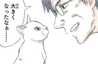 保護した子猫も大きくなって。感心していたら...え？／拾い猫のモチャ3