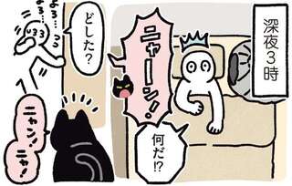 深夜でも私を叩き起こす猫。目的は...え、それ!?／黒猫ろんと暮らしたら5
