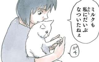 家族の中で「最も猫になつかれている」。となると、人はこうなりがち／拾い猫のモチャ4