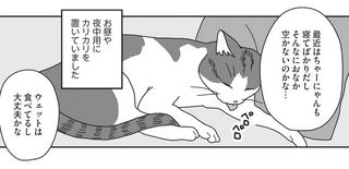 15歳の猫がカリカリを食べなくなった。それが「きざし」だった...／世界一幸せな飼い主にしてくれた猫