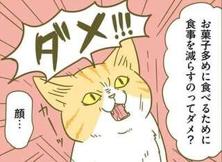 「お菓子を食べすぎる理由」は、食事の「量」でなく「栄養」が足りてないせい／ネコちゃんのゆるゆるダイエット塾