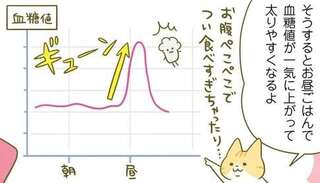 「朝ごはん抜き」は血糖値上昇のリスクあり。簡単でも食べることが大切／ネコちゃんのゆるゆるダイエット塾