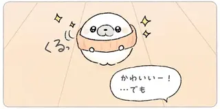 「寒いから買ってみたよ」あざらしがネックウォーマーだと喜んだのに、実は...!?／ちょこんとあざらし