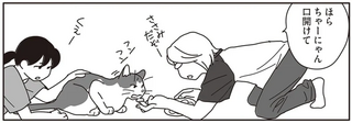 ガンで余命3カ月の猫...食欲はあるのに食べられない。飼い主は試行錯誤を／世界一幸せな飼い主にしてくれた猫