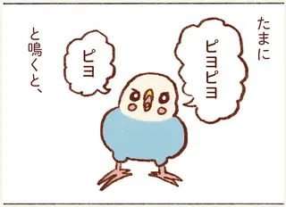 『プジェ日記！ 幸せを運ぶインコのみっちゃん』