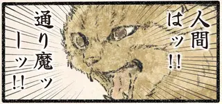 襲われたッ！ 見回り中のネコ様を飼い主がすれ違いざまに...!?／今日もネコ様の圧が強い2
