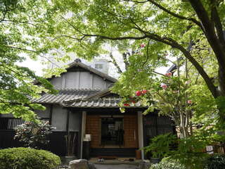 【ばけばけ】なんという脚本...美しい「愛」の描き方とそれを支える髙石あかりの表現力