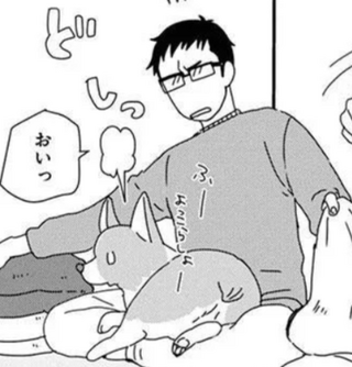 飼い主の膝を独占したい愛犬コーギー。頭の上に...それでも!?／あしょんでよッ6