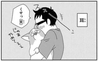 愛犬はシャンプーの後にタオルの上でゴロゴロ。賢くなった...次にして欲しいことは？／あしょんでよッ8